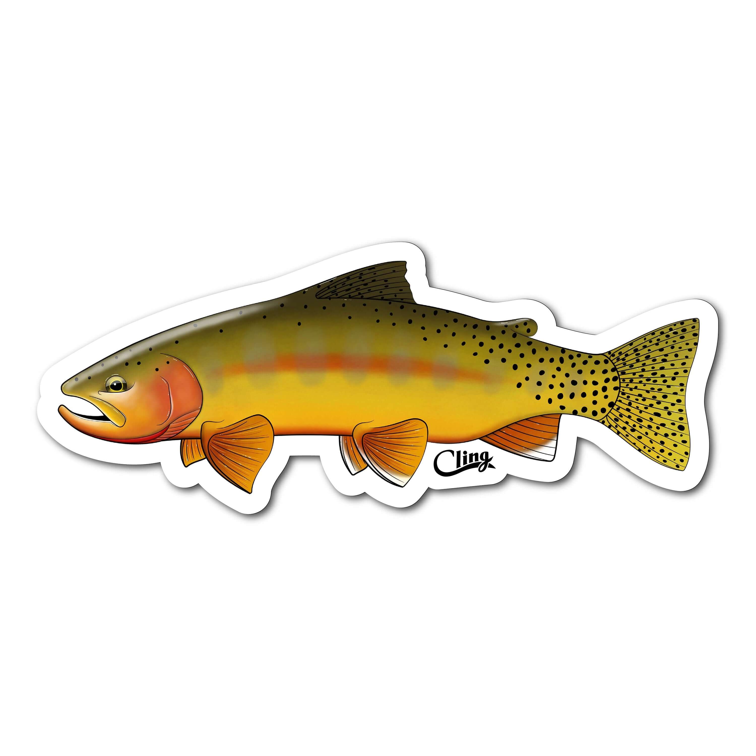 Decals - Image 2