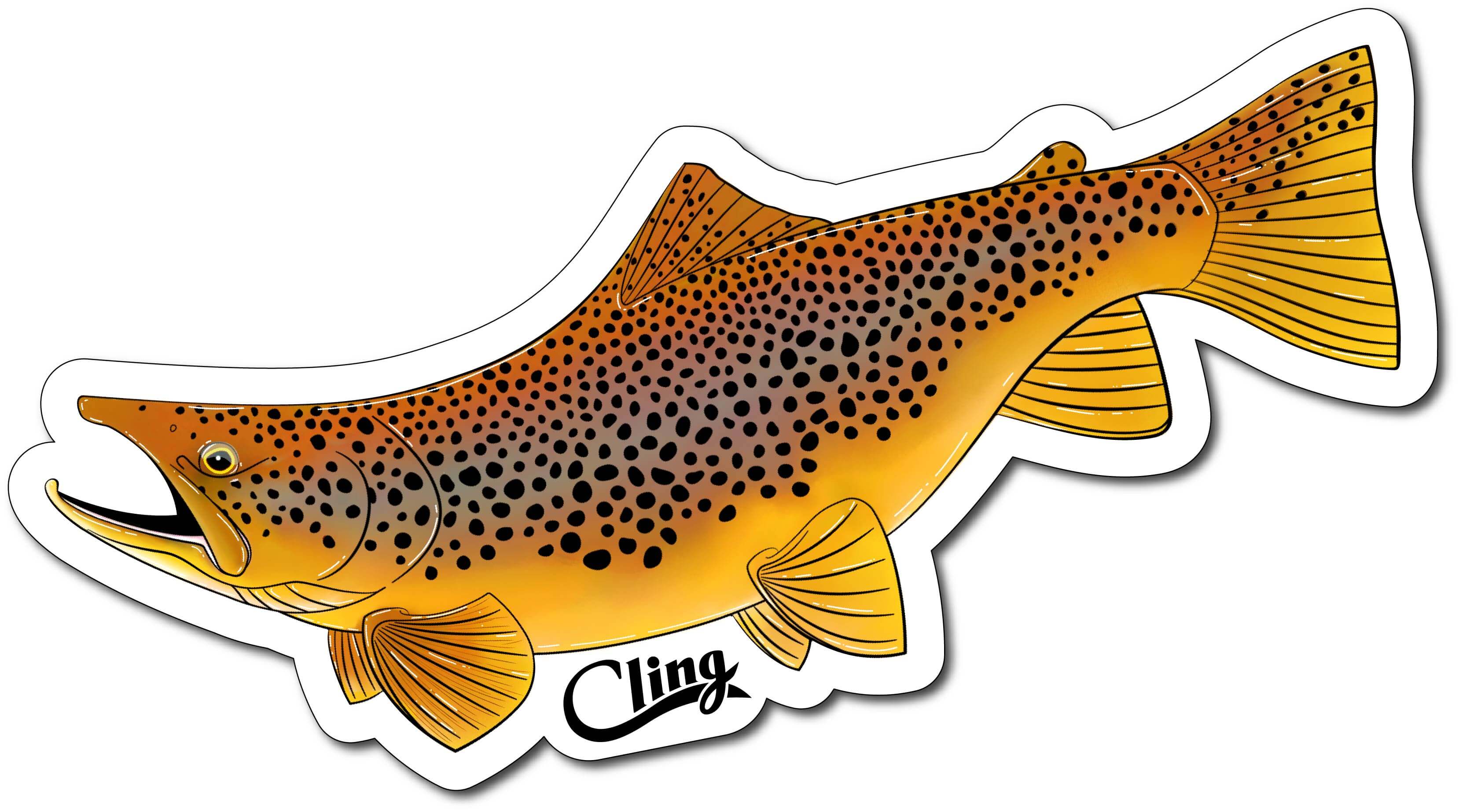 Decals - Image 3