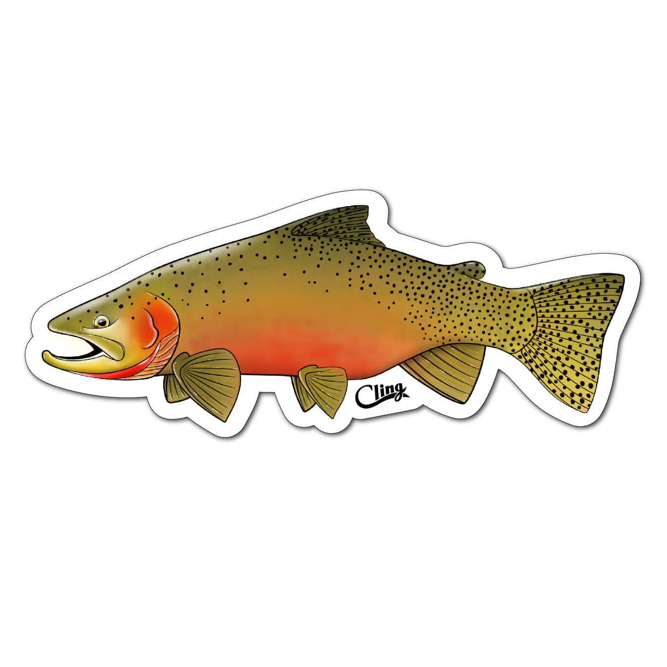 Decals - Image 4